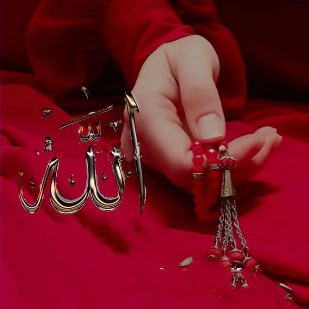 anabiya_qureshill avatar